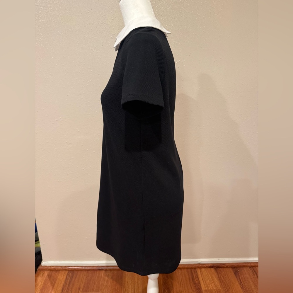 Zara Black Dress with White Collar - Picture 4 of 6
